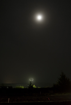 selection-panel-Nayan-Kulkarni-experience